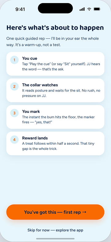 Magick Guardian guided first rep explaining cue, mark, and reward