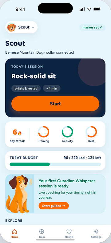 Magick Guardian home dashboard with the day's session, streak and treat budget